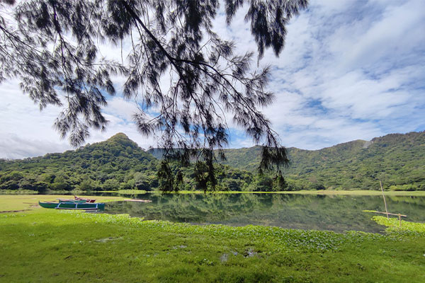 green-field-with-lake-and-mountains-view-600x400