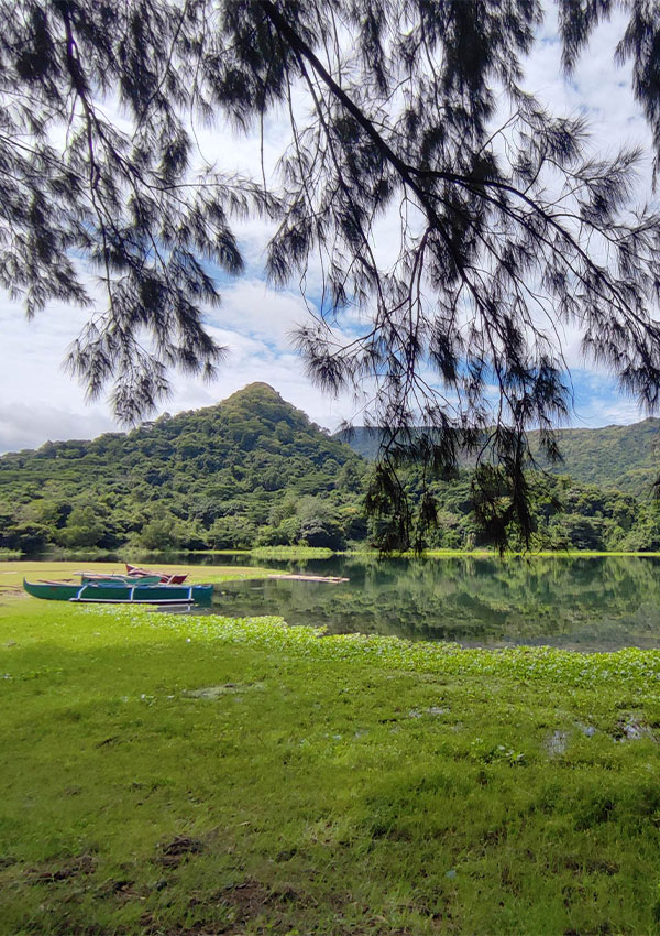 green-field-with-lake-and-mountains-view-600x850