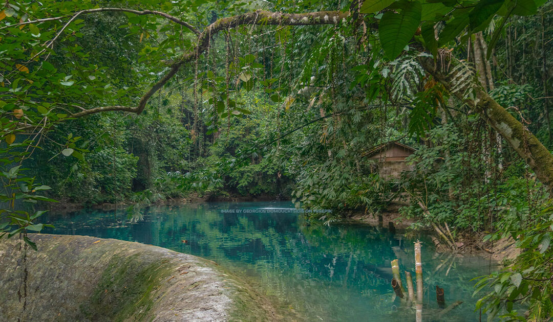 Kawasan Falls Canyoneering + Mantayupan Falls